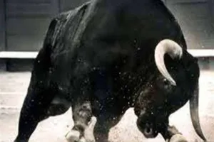 आजमगढ़: सांड के हमले में गई किसान की जान  