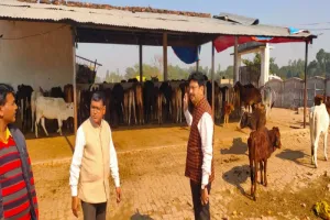 अयोध्या: चला खबर का हथौड़ा तब जागे जिम्मेदार, गौशालाओं का निरीक्षण शुरू 