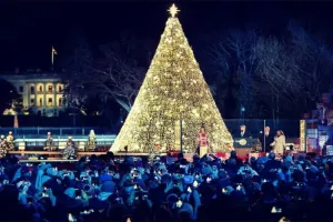 गुजरात में क्रिसमस पर चर्च व इमारतें हुईं रोशन, लोगों ने एक-दूसरे को दी बधाई, हर तरफ गूंजा मैरी क्रिसमस  