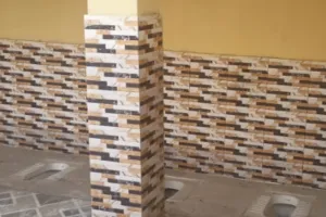 10 लाख रुपये की लागत से बने Toilet में लगा दी एक साथ 4 सीट, पढ़िए किसने किया ये कारनामा   