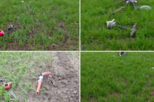 तीसरे दिन भी पाक के नापाक मंसूबे फेल!...पंजाब सीमा पर BSF ने ड्रोन को मार गिराया 