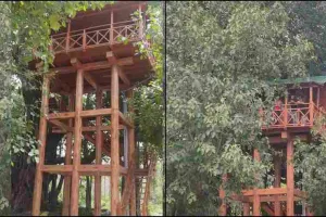 रामनगर: उत्तराखण्ड के पहले ट्री हाउस का हुआ शुभारम्भ 
