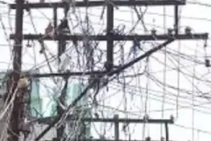 बरेली: 667 मजरों को बिजली की खुली लाइन से किया गया मुक्त