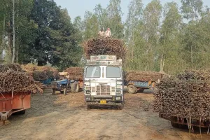 बरेली: नया छोड़िए पुराने सत्र का भी भुगतान नहीं कर रहीं चीनी मिलें