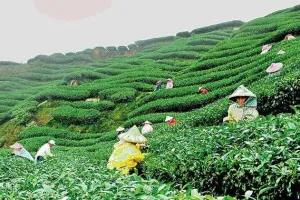 विकास की राह पर 