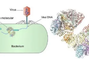 बरेली: बौद्धिक अक्षम्य बच्चों के लिए बेहतर है बिहेवियर थेरेपी पर प्रस्तुत किया शोधपत्र