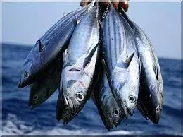 भवाली: मत्स्य पालन योजना से करीब 250 ग्रामीण बने आत्मनिर्भर