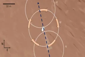 Rover Microphone ने रिकॉर्ड की लाल ग्रह पर धूल के बवंडर की आवाज 