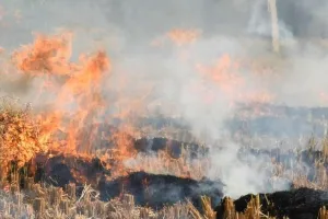 Kanpur News : तहसीलों में बनेंगे बायो फ्यूल और कंप्रेस्ड गैस, एसडीएम जमीन उपलब्धता को लेकर कराएंगे सर्वे