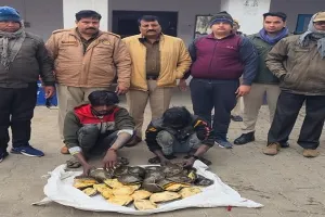 संभल: दुर्लभ प्रजाति के 44 कछुए बरामद, दो तस्कर गिरफ्तार 