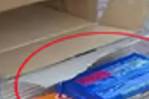 मंगाया था Online Iphone, डिलीवरी पैकेट खोलते ही युवक के उड़े होश, Delivery Boy को ग्रामीणों ने पीटा