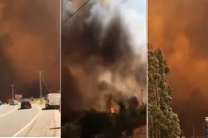 चिली के जंगलों में लगी आग, 46 घर जलकर राख... 184 लोग बेघर 