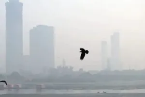 आपके दिल और फेफड़ों के लिए बेहद खतरनाक है विंटर स्मॉग, ऐसे रखें अपनी सेहत का ख्याल