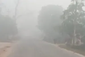 अयोध्या : सर्द हवाओं से बढ़ी गलन, जन जीवन अस्त व्यस्त