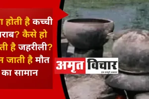 क्या होती है कच्ची शराब? कैसे हो जाती है जहरीली? बन जाती है मौत का सामान 