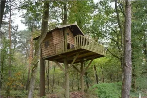 रामनगर: अब कॉर्बेट में पर्यटक ले सकेंगे ट्री हाउस का मजा, रात में रुकने का मिलेगा मौका