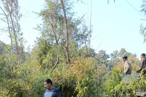 लालकुआं: टांडा में ट्रेन की चपेट में हाथी का डेढ़ साल का बच्चा घायल