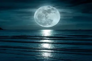 Blue Planet II: 'यह कहना गलत है कि हम गहरे समुद्र की तुलना में चंद्रमा के बारे में अधिक जानते हैं' 