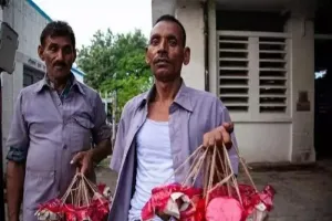 हरदोई: संडीला के लड्डुओं को मिलेगी नई पहचान, सांसद ने मुख्यमंत्री को लिखा पत्र