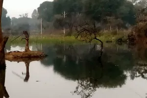 रायबरेली: नहर पटरी कटने से किसानों की कई बीघे फसल जलमग्न