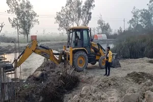 उन्नाव के पुरवा में अस्थायी नहर पुल में फंसकर 30 गोवंश की मौत, मचा हड़कंप  