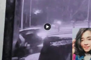 Video : चड़ीगढ़ में 25 साल की स्ट्रीट डॉग लवर को थार गाड़ी ने रौंदा, दिल दहला देगा वीडियो 