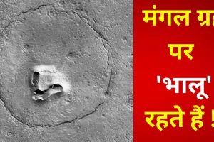 मंगल ग्रह पर 'भालू' रहते हैं क्या! तस्वीर खुद NASA ने भेजी है 