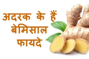 सर्दियों में अदक के सेवन से मिलेंगे कई लाभ, जानें इसके फायदे...