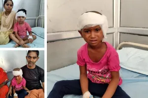 बांदा की यह खबर लोगों के लिए बन सकती नजीर, बेजुबां मिथला को ऑपरेशन से मिली जुबान, पढ़ें- इसके पीछे की वजह