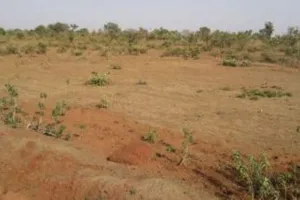 बरेली: आवास विकास परिषद की रोक के बावजूद बेच डाले 5.57 करोड़ के भूखंड