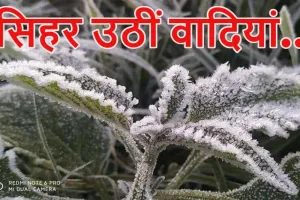 नैनीताल: कड़ाके की ठंड से कांप रहे पर्यटक, गर्म कपड़ों के बाजार में आया उछाल