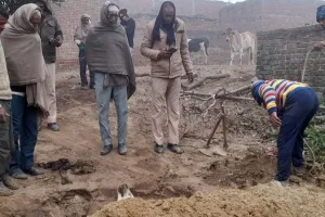 संभल: कड़ाके की ठंड में छह छुट्टा गोवंश की मौत