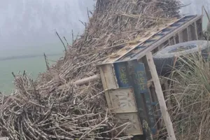 ayodhya road accident: कोहरे में ट्रॉली से टकराई बाइक,  दो चचेरे भाइयों की मौत