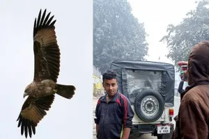 बहराइच: रेस्क्यू अभियान चलाकर वन विभाग की टीम ने बचाई चील की जान, देखें वीडियो