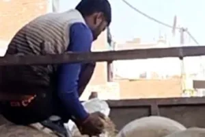 बरेली: वाहन के नंबर से हुआ साफ, नहीं था सरकारी खाद्यान्न