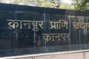 Kanpur Zoo से ढाई क्विंटल की तिजोरी चोरी, छह लाख पार, चिड़ियाघर प्रशासन मामले को दबाने में जुटा