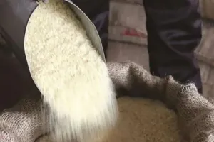 मथुरा: एक से तीन फरवरी तक मिलेगा राशन, जिला पूर्ति अधिकारी ने सभी विक्रेताओं को दिए निर्देश 