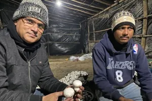 बरेली: मशरूम की खेती कर किसानों के लिए प्रेरणा बने लालबहादुर