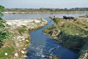 मुरादाबाद : तारणहार ही महानगर में कर रहे हैं अपनी रामगंगा मैली