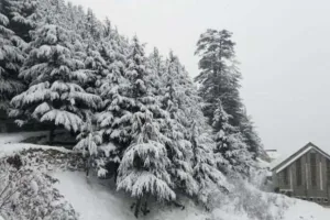 Uttarakhand News: उत्तराखंड के कई इलाकों में हुई बर्फबारी, ठंड बढ़ी