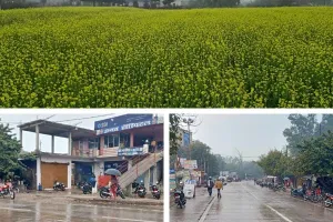 Weather Update News : फतेहपुर, उन्नाव समेत कई जिलों में बारिश से बढ़ी ठंड, यहां देखें- मौसम का हाल