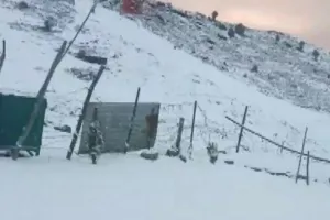 Uttarakhand : चमोली, बद्रीनाथ और औली में हिमपात, इराणी गांव में घर बर्फ से लकदक