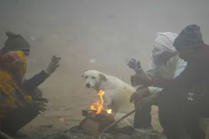 यूपी-दिल्ली समेत इन राज्यों में जमकर कहर ढाने वाला है कोहरा, 36 ट्रेनों की रफ्तार हुई धीमी 