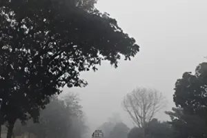 भवाली: जिले के पर्वतीय इलाकों में माइनस दो डिग्री तक पहुंचा तापमान