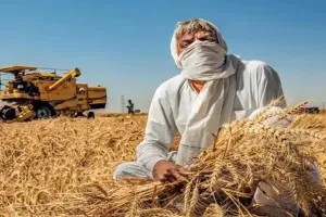 गेहूं निर्यात खोलने पर सरकार मार्च-अप्रैल में फैसला करेगी: डीजीएफटी महानिदेशक