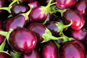 इस बीमारी के मरीज बैंगन खाने से करें परहेज, आपकी सेहत के लिए हो सकती हैं दिक्कतें