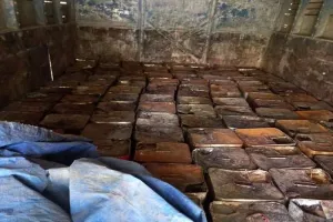 हल्द्वानी: सफेद खड़िया की आड़ में लीसे का काला कारोबार, एसटीएफ ने किया भंडाफोड़