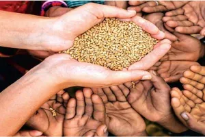 पंतनगर: 11 से वैश्विक खाद्य सुरक्षा पर दो दिवसीय अंतरराष्ट्रीय सम्मेलन 