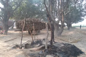 गोंडा में अराजक तत्वों ने फूंका गन्ना क्रय केंद्र का छप्पर, तौल ठप 