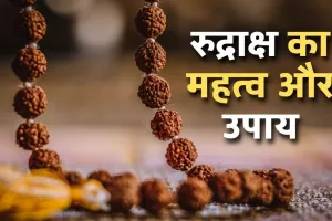 किस राशि के जातकों को कौन-सा रुद्राक्ष धारण करना चाहिए…नहीं पता ! तो पढ़िए ये खबर...